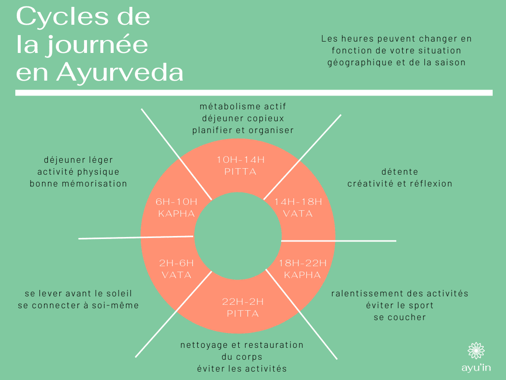 cycles de la journée en Ayurvéda
