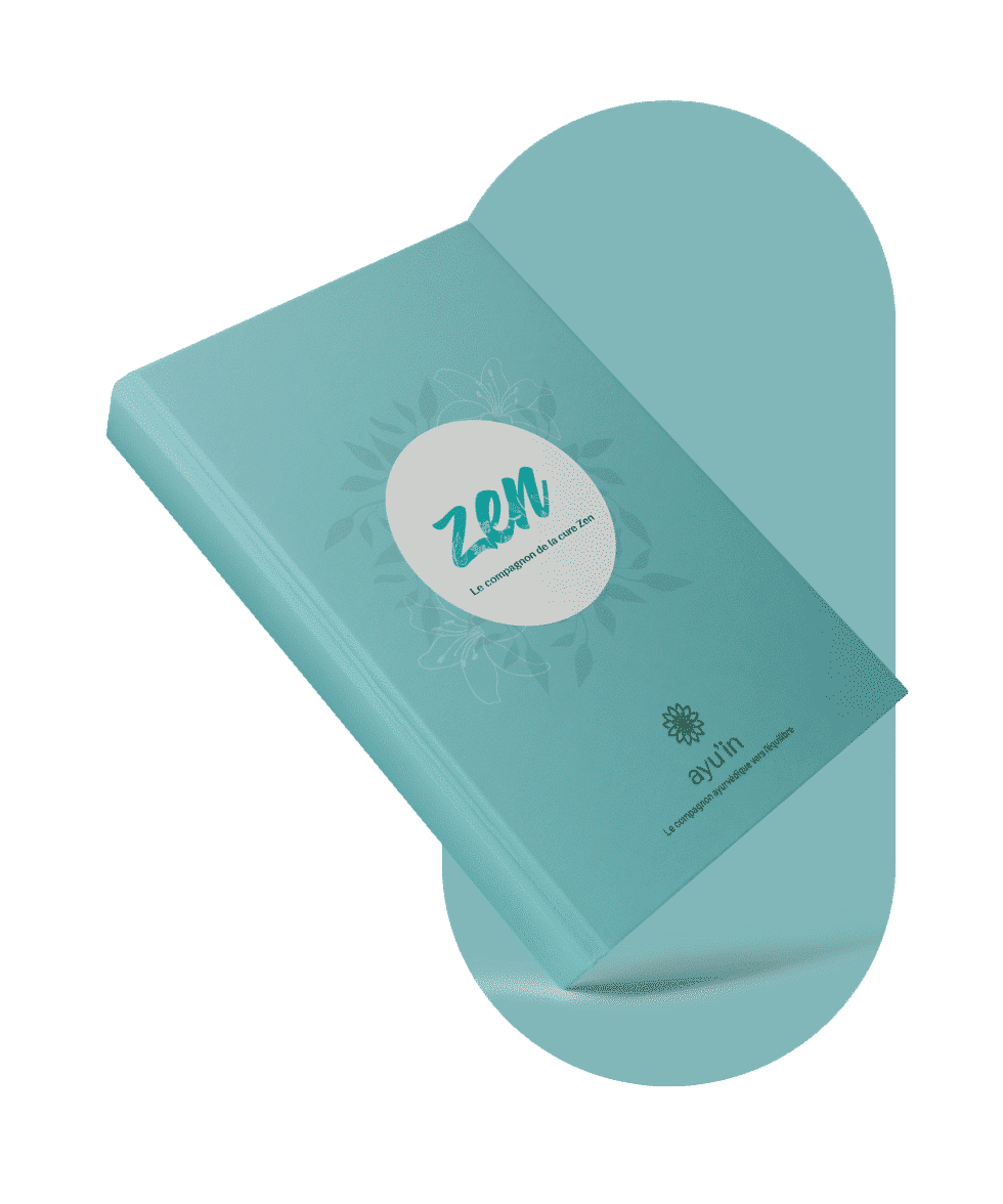 Le E-Book de la cure zen est le parfait compagnon pour une cure dans de bonnes condition